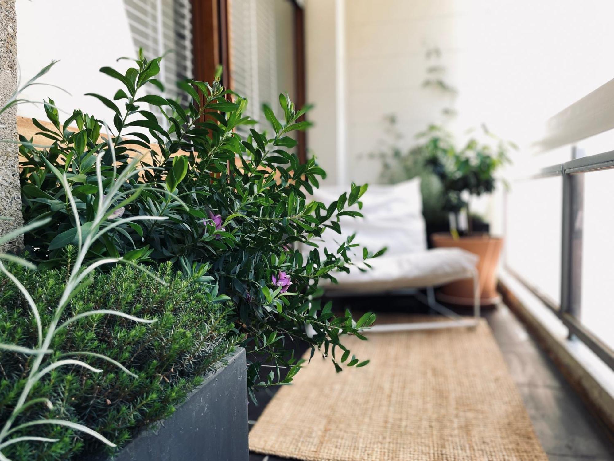 Design 110M2 2Br Terrace & Parking Near Center Apartamento Aix-en-Provence Exterior foto